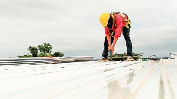 Best Green or Eco-Friendly Roofing Solutions  in Steiner Ranch, TX